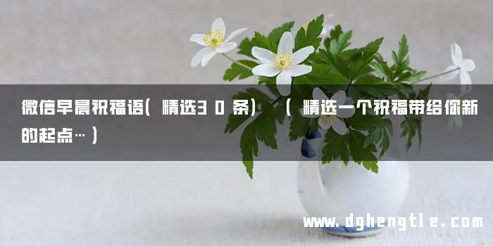 微信早晨祝福语（精选30条） （精选一个祝福带给你新的起点…）